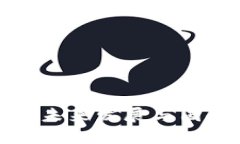 数字货币清算系统的未来发展与国企个股投资趋