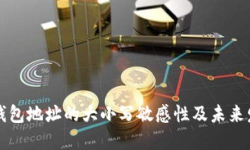 以太坊钱包地址的大小写敏感性及未来发展趋势