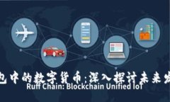 选择TP钱包中的数字货币：深入探讨未来发展与趋