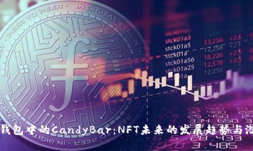 以太坊钱包中的CandyBar：NFT未来的发展趋势与潜力解析