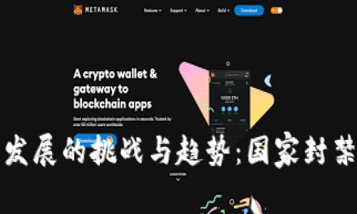未来数字货币发展的挑战与趋势：国家封禁的影响及应对