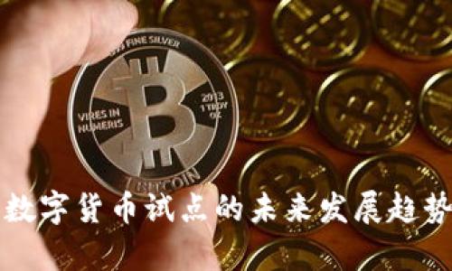 龙华数字货币试点的未来发展趋势分析